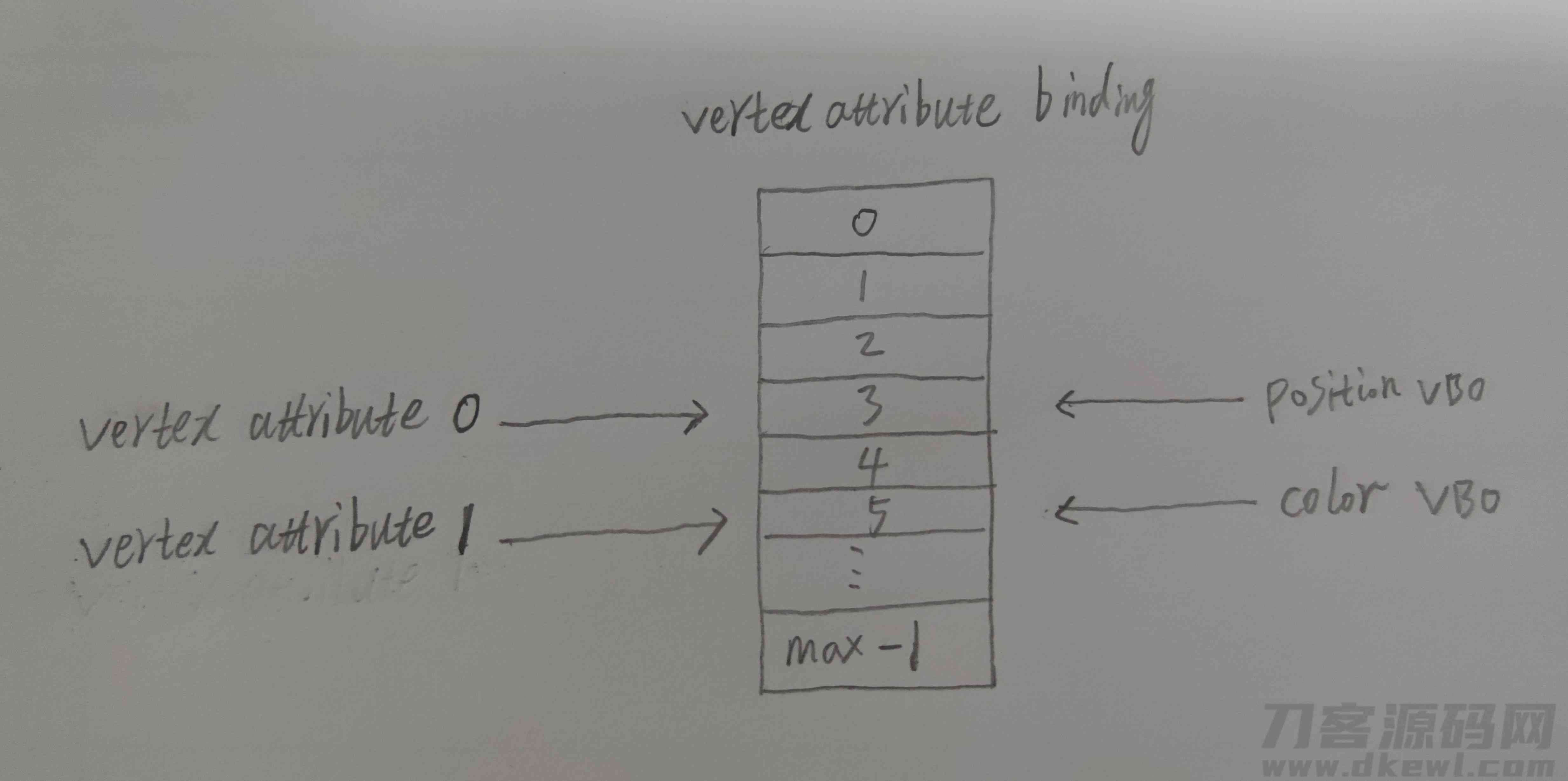 vertex attribute binding point