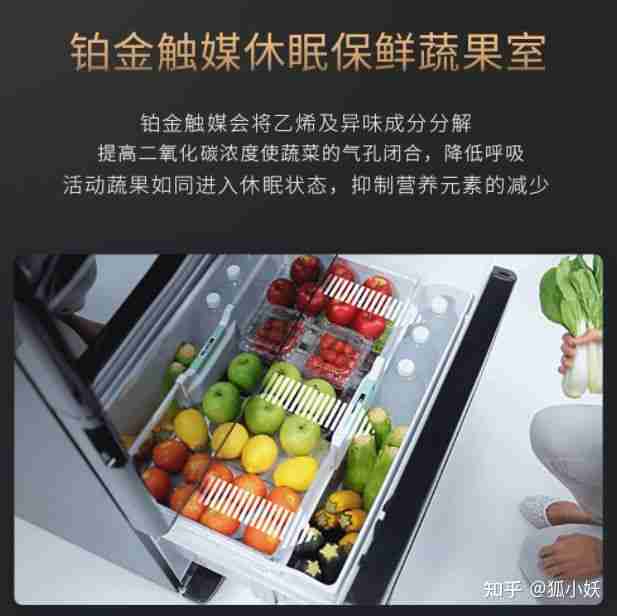 西门子冰箱好吗（西门子冰箱的质量如何）-第10张图片
