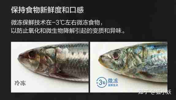 西门子冰箱好吗（西门子冰箱的质量如何）-第6张图片