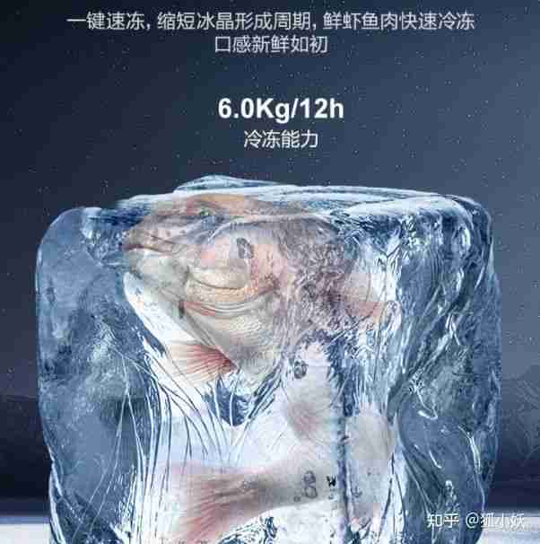 西门子冰箱好吗（西门子冰箱的质量如何）-第8张图片