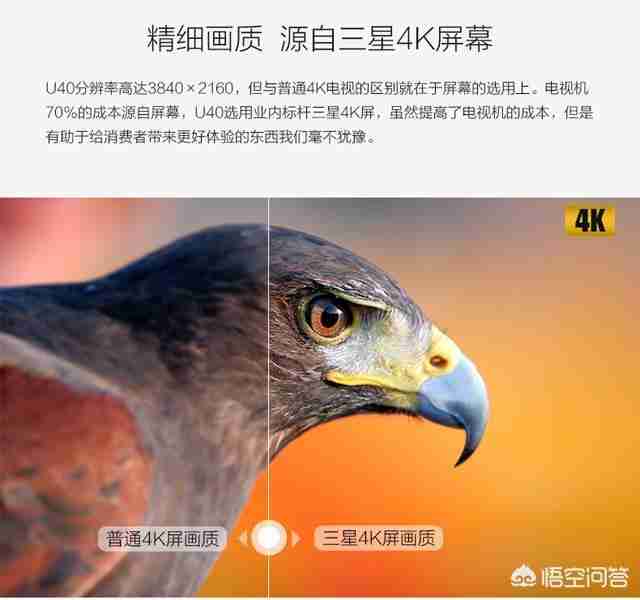 智能高清电视多少钱（tcl554kuhd智能电视多少钱）-第10张图片