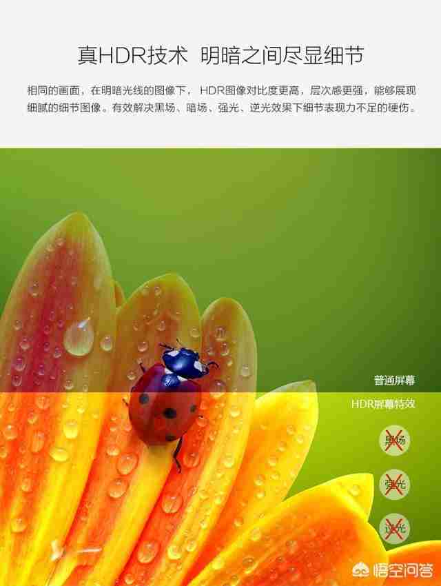 智能高清电视多少钱（tcl554kuhd智能电视多少钱）-第11张图片