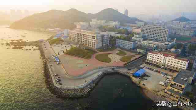 大连海洋大学就业网(大连海洋大学就业怎么样)-第3张图片 大连海洋大学就业网(大连海洋大学就业怎么样)-第3张图片
