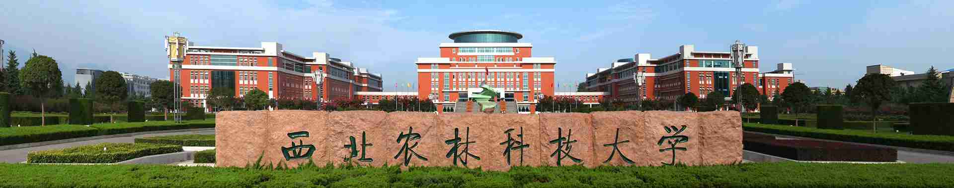 浙江农林大学排名2021最新排名985.211（浙江农林大学排名2021最新排名）-第2张图片