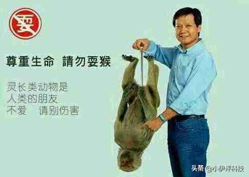 小米新品是什么（小米新款）-第1张图片