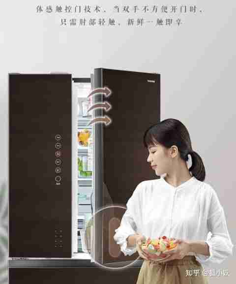 西门子冰箱好吗（西门子冰箱的质量如何）-第17张图片