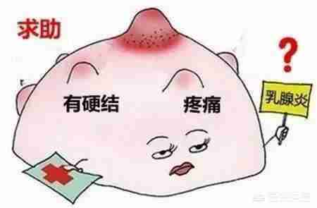 麦乳精回奶效果好吗(维生素b6回奶效果好吗)-第5张图片 麦乳精回奶效果好吗(维生素b6回奶效果好吗)-第5张图片