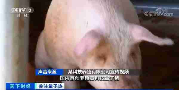 水能量小分子活水器怎么样（小分子活水杯）-第3张图片