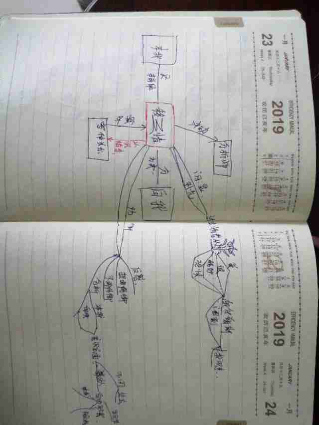吃什么提高记忆力和反应能力大人（吃什么药提高记忆力和反应能力）-第3张图片