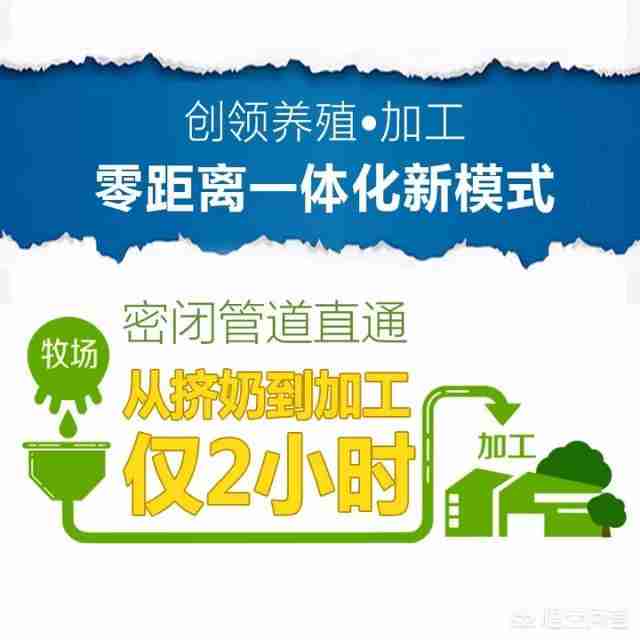 婴儿奶粉推荐知乎（婴儿奶粉知乎）-第11张图片