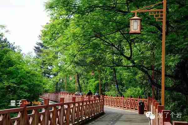 龙岩旅游景点大全排名（福建省龙岩市龙岩旅游景点大全）-第1张图片