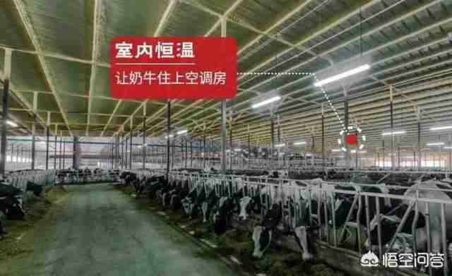 婴儿奶粉推荐知乎（婴儿奶粉知乎）-第9张图片