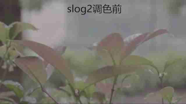 短视频怎么拍好看(新手制作短视频教程)-第16张图片 短视频怎么拍好看(新手制作短视频教程)-第16张图片