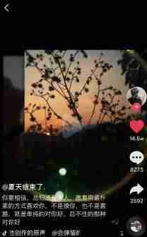 文案视频素材软件(上热门的短视频素材)-第6张图片 文案视频素材软件(上热门的短视频素材)-第6张图片