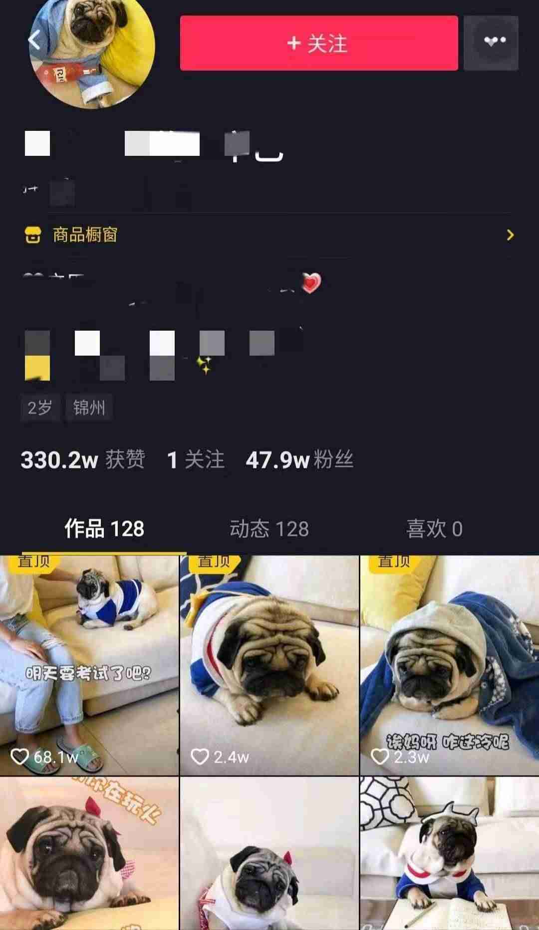 抖音视频分类怎么设置(抖音短视频分类排行)-第6张图片 抖音视频分类怎么设置(抖音短视频分类排行)-第6张图片