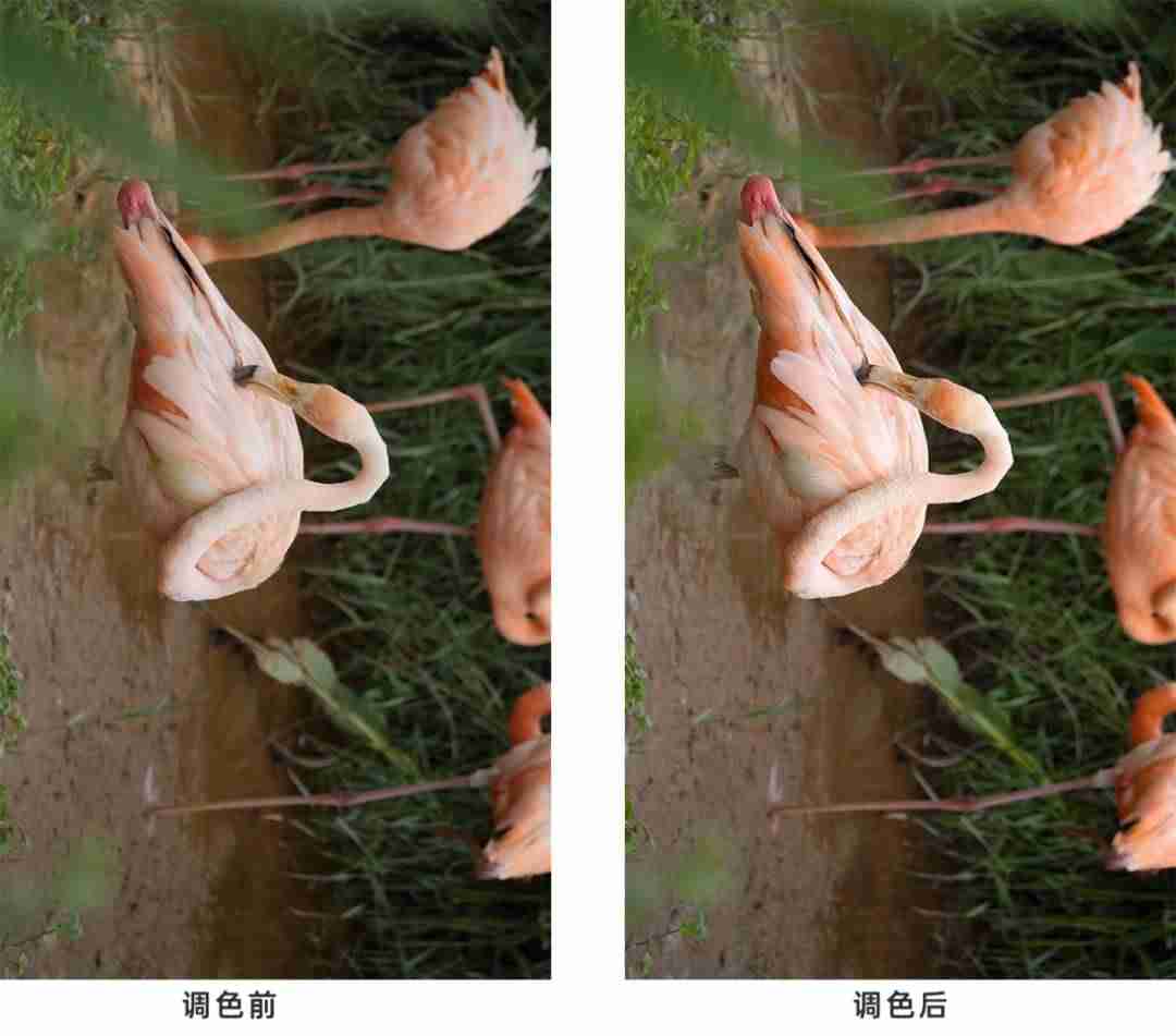 抖音视频拍摄设备(新手拍抖音的步骤)-第17张图片 抖音视频拍摄设备(新手拍抖音的步骤)-第17张图片