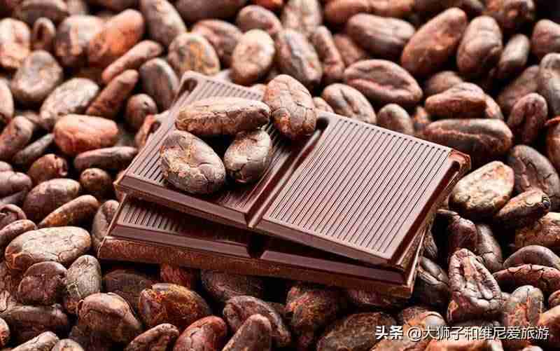 比利时巧克力品牌排行（比利时巧克力三大品牌）-第8张图片