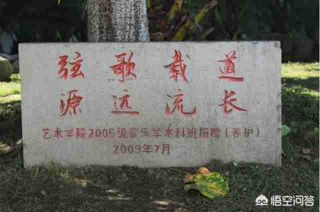 预防医学专业排名大学校友会（大理大学预防医学排名）-第6张图片