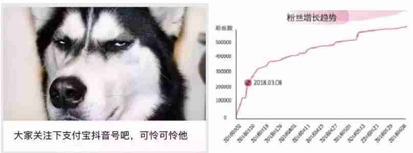 抖音攻略特效在哪里(抖音的玩法和技巧图解)-第2张图片 抖音攻略特效在哪里(抖音的玩法和技巧图解)-第2张图片