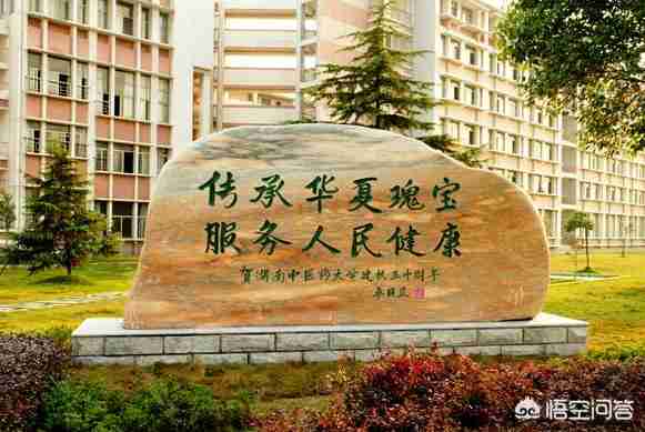 湖南中医药大学怎么样大学排名（安徽中医药大学怎么样大学排名）-第2张图片