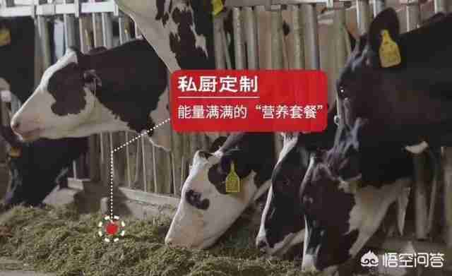 婴儿奶粉推荐知乎（婴儿奶粉知乎）-第7张图片
