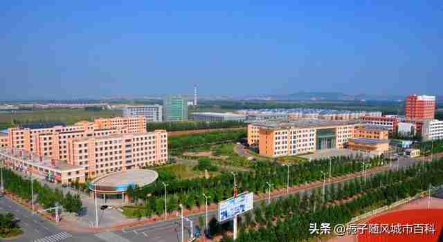 沈阳专科学校排名公办（山东专科学校排名公办）-第11张图片