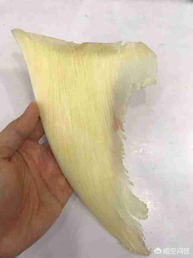 哥布林鲨鱼图片简笔画（锤头鲨鱼图片简笔画）-第6张图片