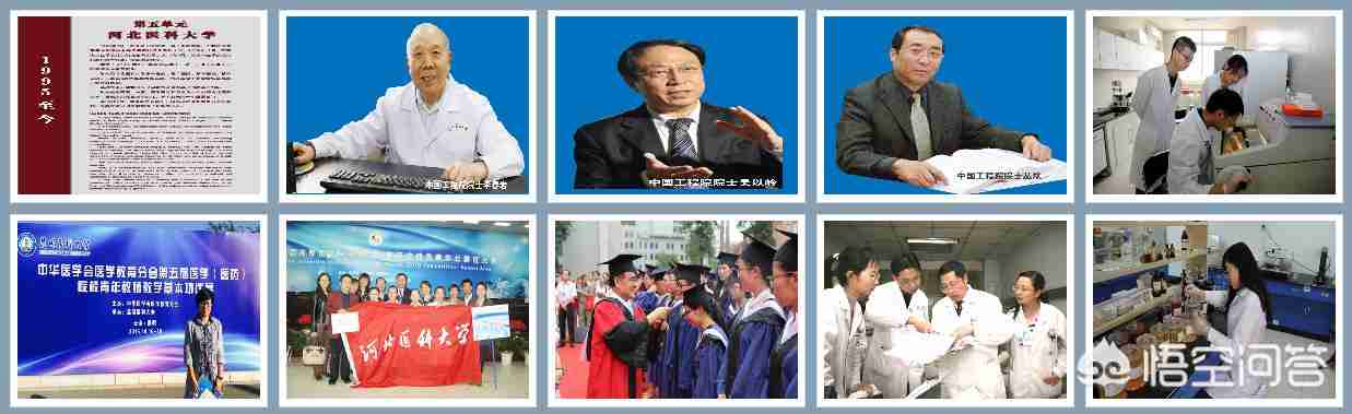 河北医大研究生学院官网（安医大研究生学院官网）-第8张图片