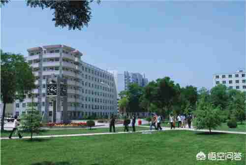 小语种专业大学排名及分数线辽宁（文科小语种专业大学排名分数线）-第4张图片