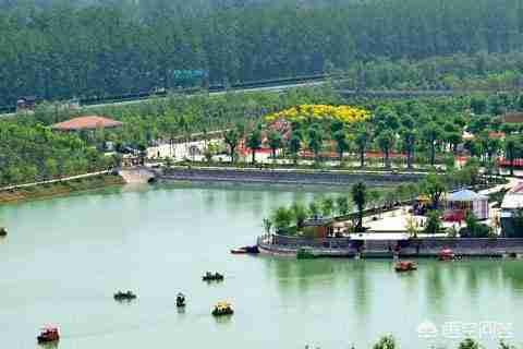 周口旅游景点排行榜免费（周口市区旅游景点排行榜）-第3张图片