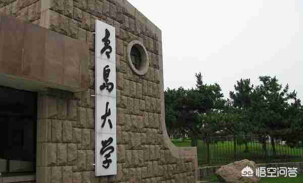 青岛工学院怎么样就业前景（青岛职业技术学院怎么样就业前景）-第1张图片