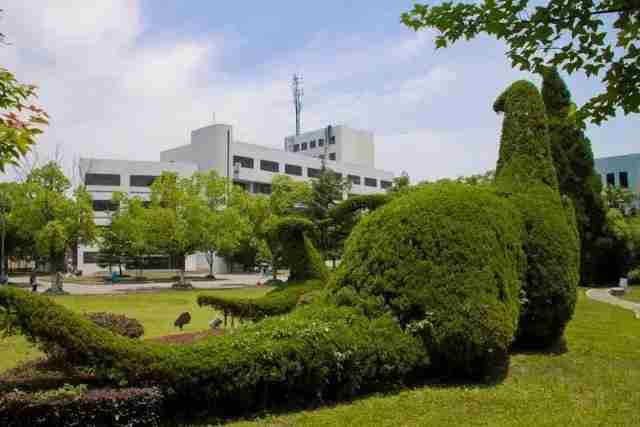 南京南站到河海大学地铁怎么走（南京南站到河海大学江宁校区地铁）-第12张图片