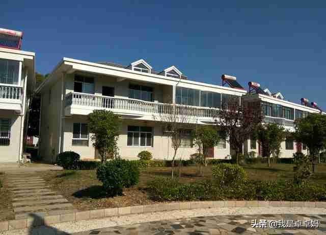 谷凤杰事迹材料（谷凤杰人大）-第1张图片