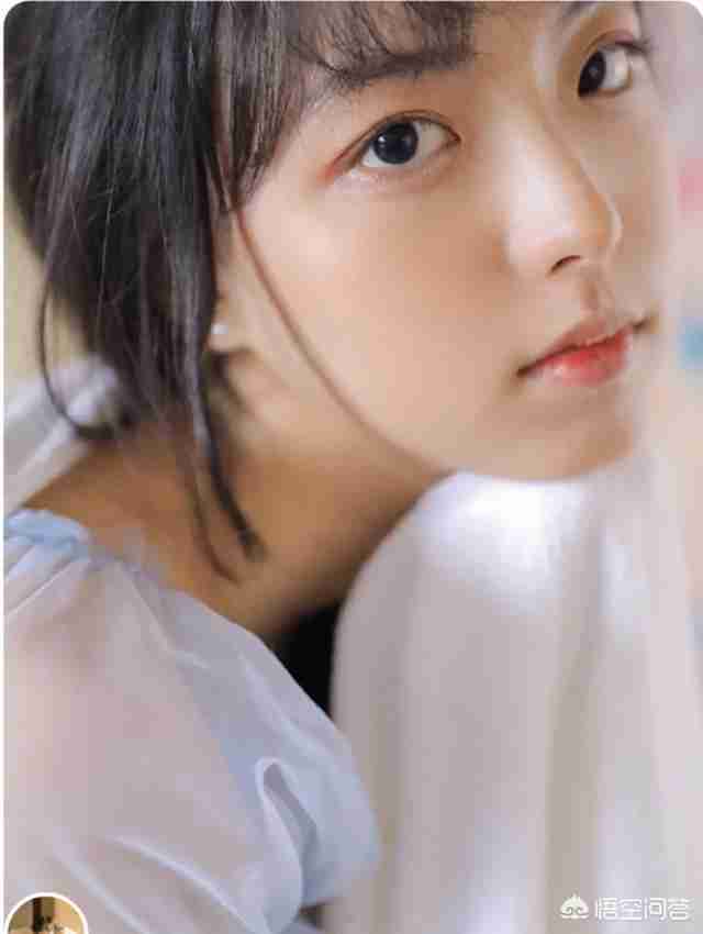 梵克雅宝美之传承（梵克雅宝美之传承内页）-第1张图片