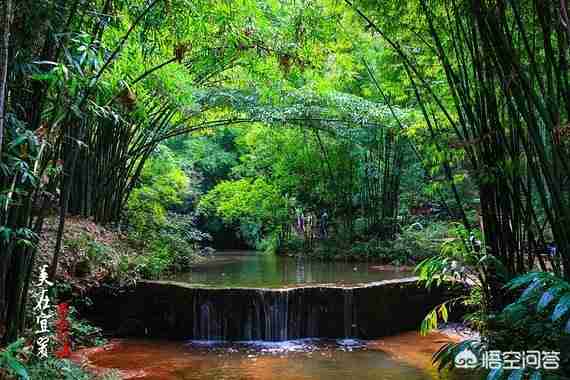 宜宾旅游景点大全(四川宜宾旅游景点有哪些)-第4张图片 宜宾旅游景点大全(四川宜宾旅游景点有哪些)-第4张图片