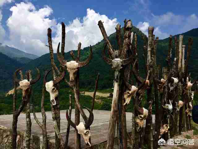 普洱景点最值得去的地方（普洱景点最值得去的地方图片）-第4张图片