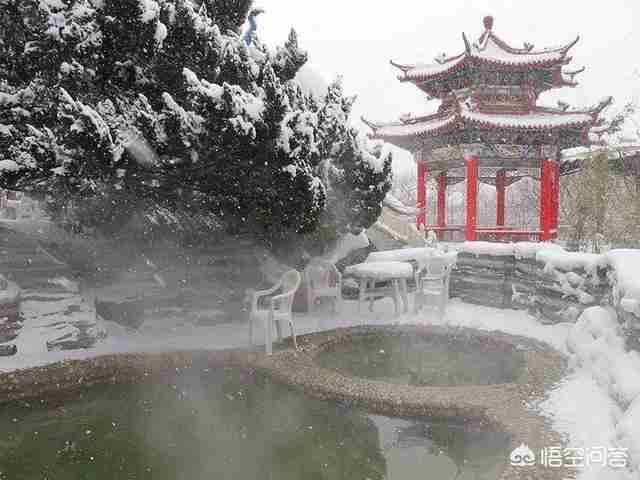 营口熊岳天沐温泉度假村电话（营口熊岳天沐温泉度假村价格）-第1张图片