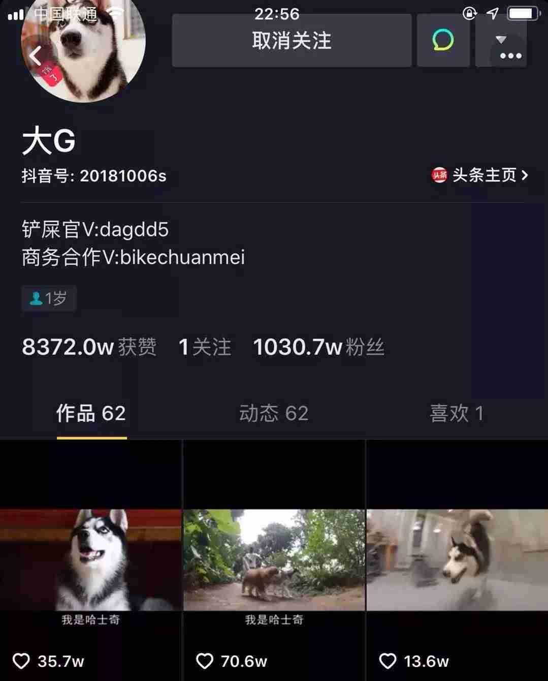 抖音直播号怎么看(直播账号购买方式)-第6张图片 抖音直播号怎么看(直播账号购买方式)-第6张图片