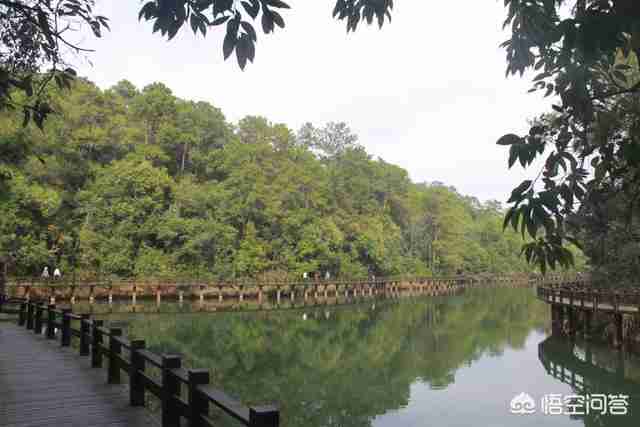 普洱景点最值得去的地方（普洱景点最值得去的地方图片）-第12张图片
