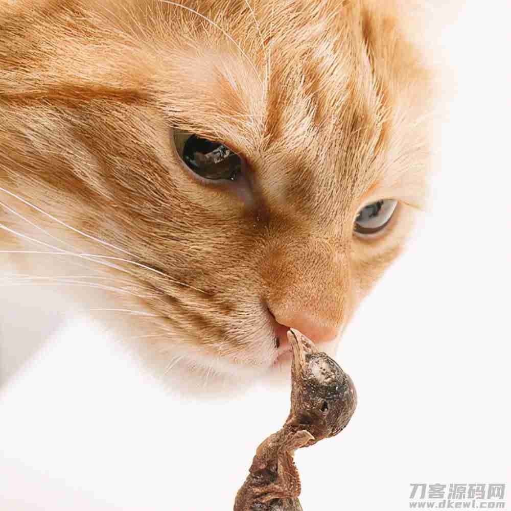 爱普士猫罐头怎么样（国产三大安全猫罐头）-第5张图片