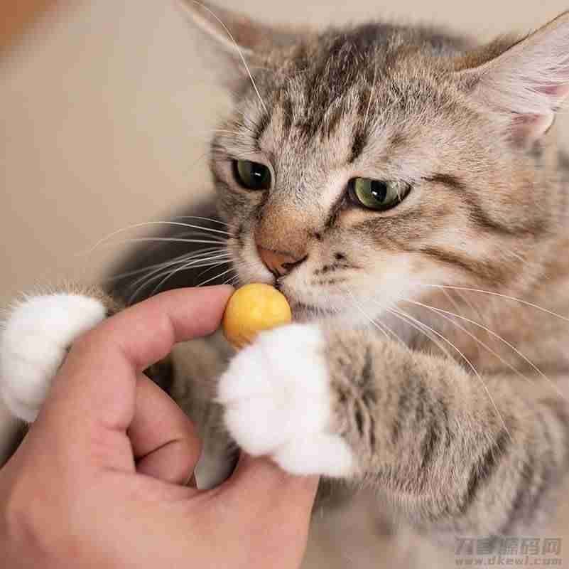 爱普士猫罐头怎么样（国产三大安全猫罐头）-第7张图片