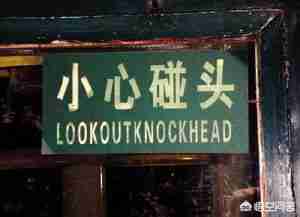 letitout（letitout中文是什么）