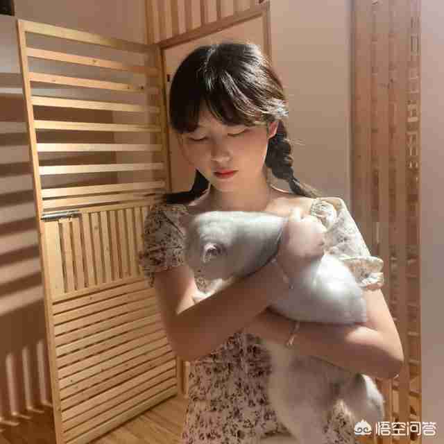 中国女装品牌大全排行榜（中国十大女装品牌排行榜）-第53张图片