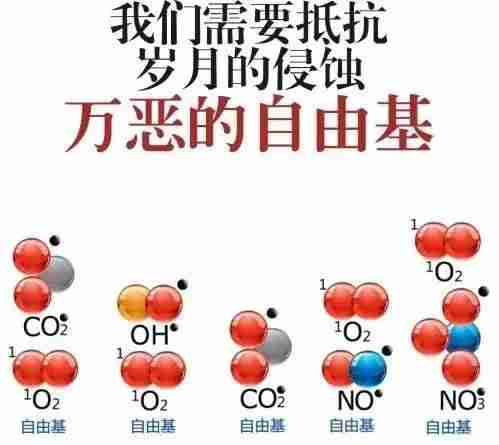 什么茶养胃对肠胃好（喝什么茶养胃）-第3张图片