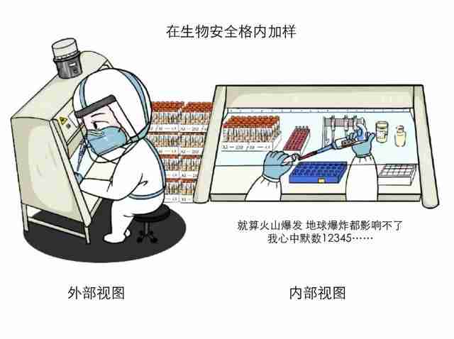 放心贷款怎么样可靠吗（新呗贷款怎么样可靠吗）-第15张图片