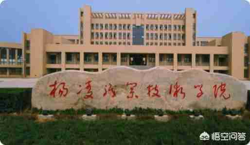 陕西省大专院校排名（陕西省大专院校排行榜公办）-第5张图片