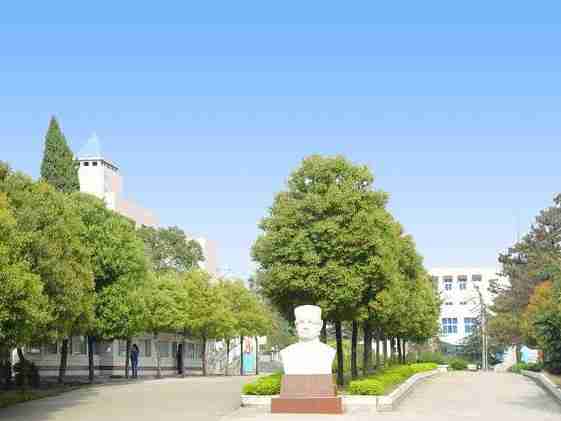 铜陵学院怎么样好不好（铜陵学院怎么样好不好能不能上）-第3张图片