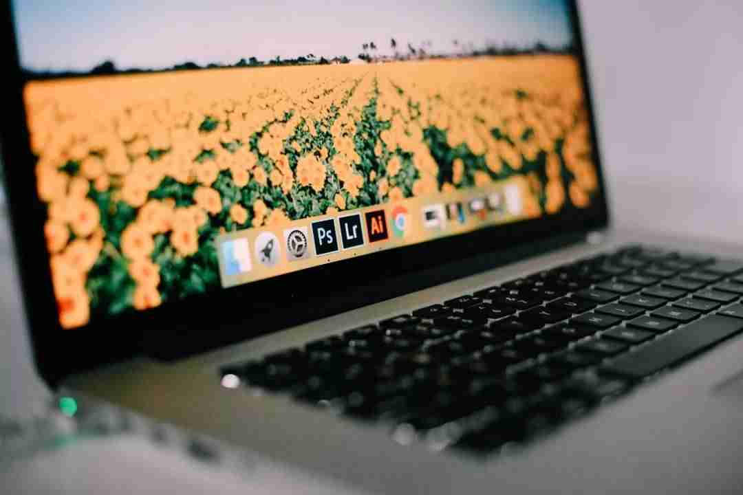 adobe正版软件价格表（adobe常用的5个软件）-第1张图片