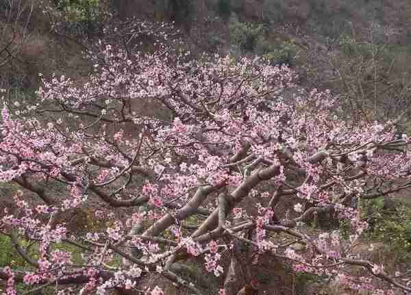 绵阳景点旅游景点推荐（绵阳景点旅游景点排名）-第6张图片