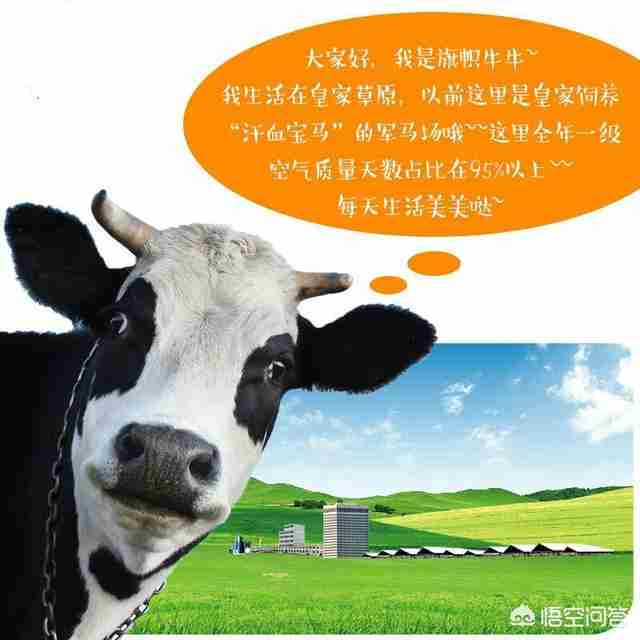 婴儿奶粉推荐知乎（婴儿奶粉知乎）-第5张图片